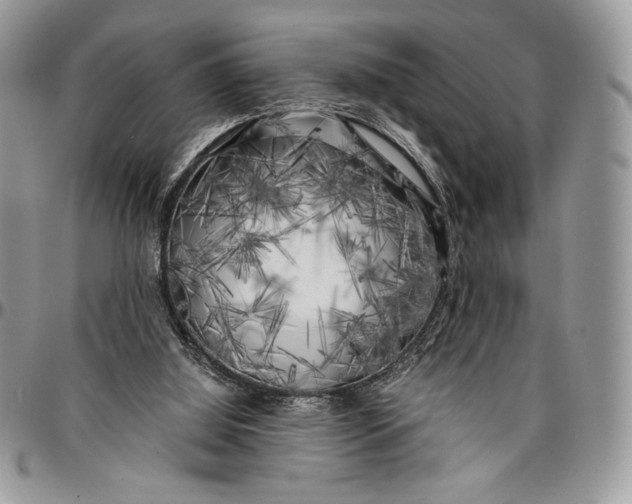 X0000096380060200802141441