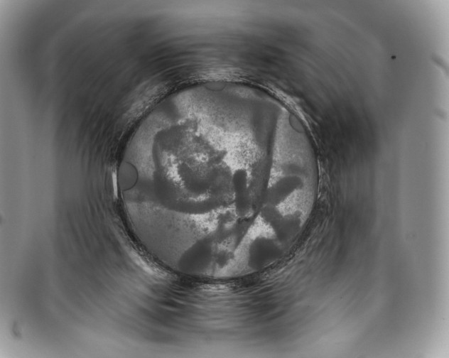 X0000096380061200802141441