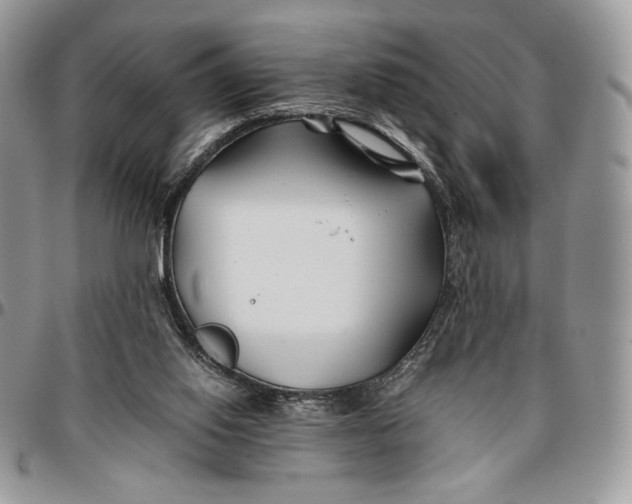 X0000096380062200802141441