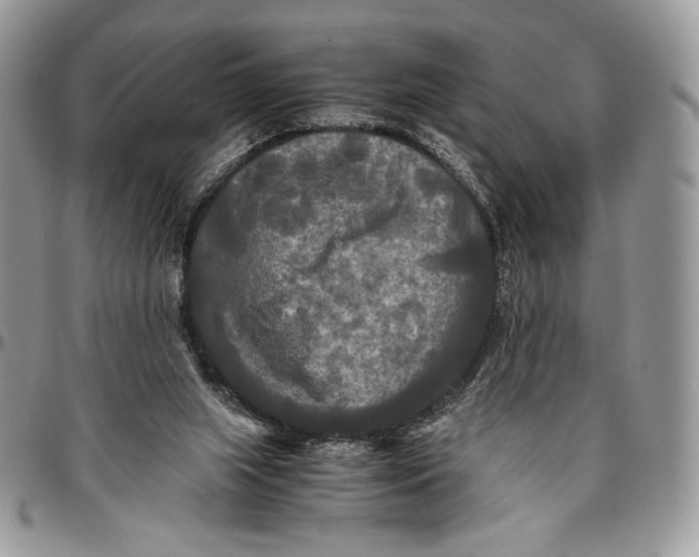 X0000096380063200802141441