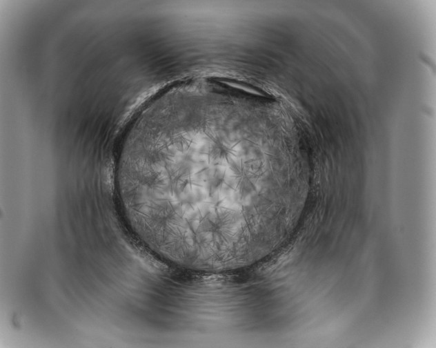 X0000096380064200802141441