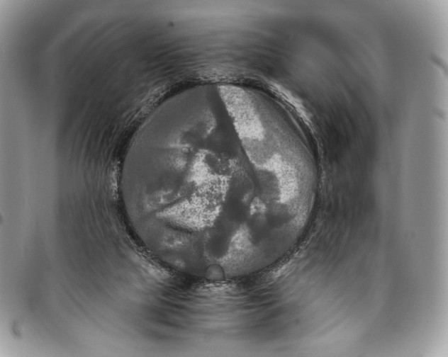 X0000096380065200802141441