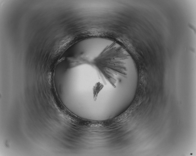 X0000096380066200802141441