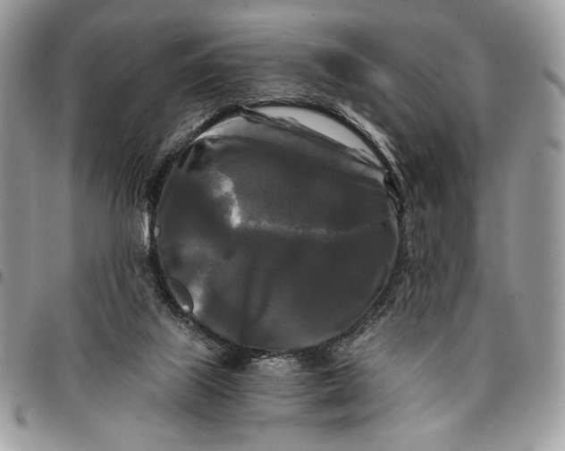 X0000096380067200802141441