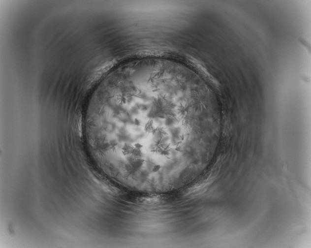 X0000096380068200802141441