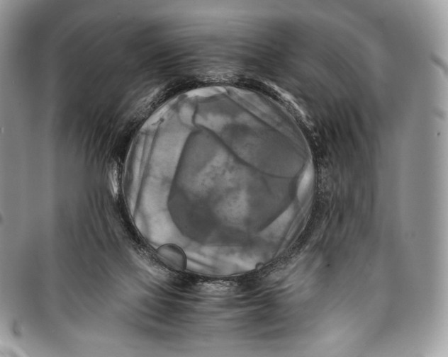 X0000096380069200802141441