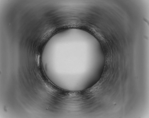 X0000096380070200802141441