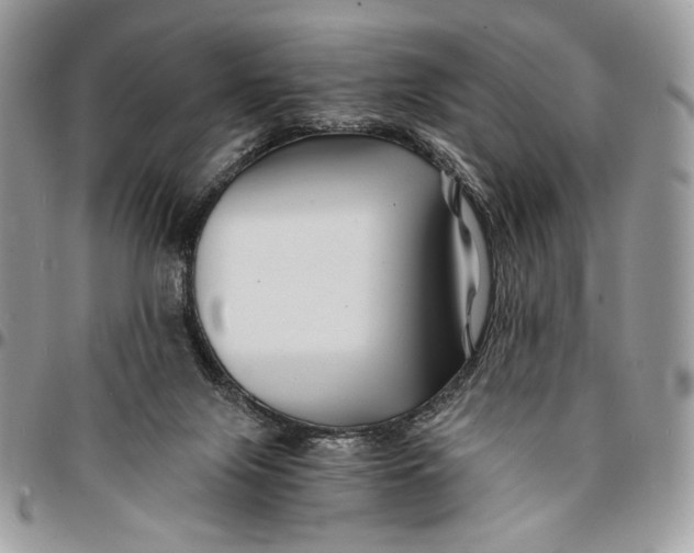 X0000096380071200802141441