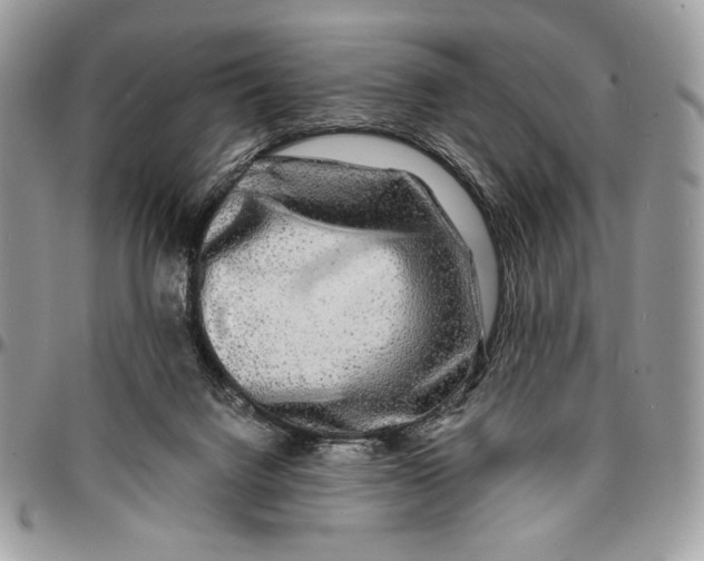 X0000096380072200802141441