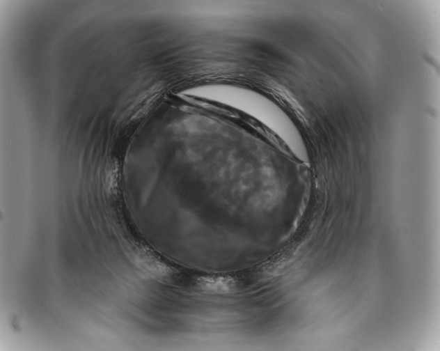 X0000096380073200802141441