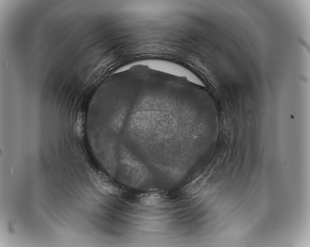 X0000096380074200802141441