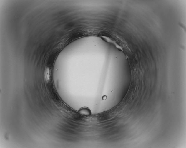 X0000096380075200802141441