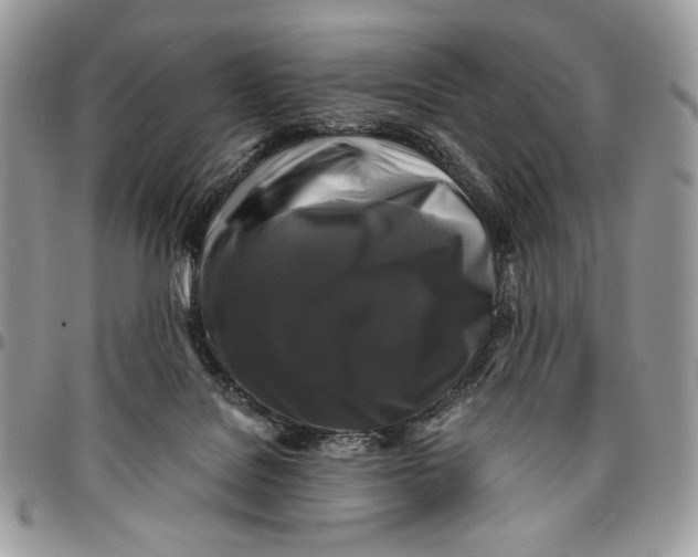 X0000096380076200802141441