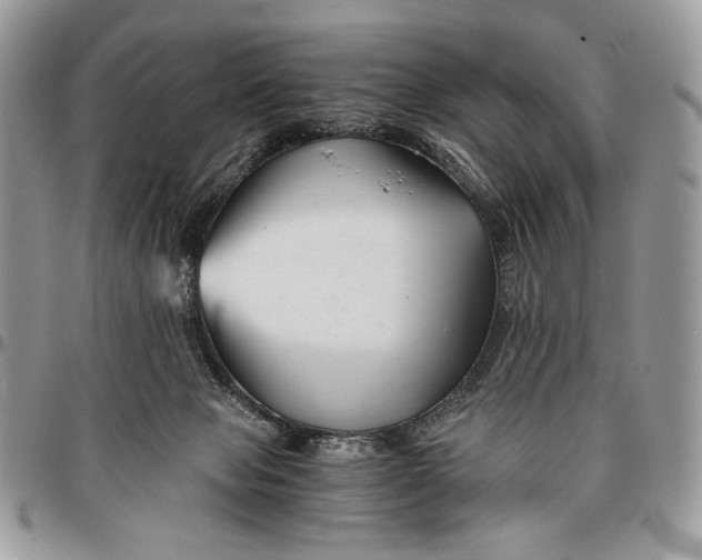 X0000096380077200802141441