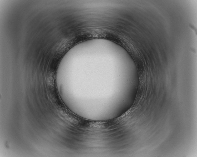 X0000096380078200802141441