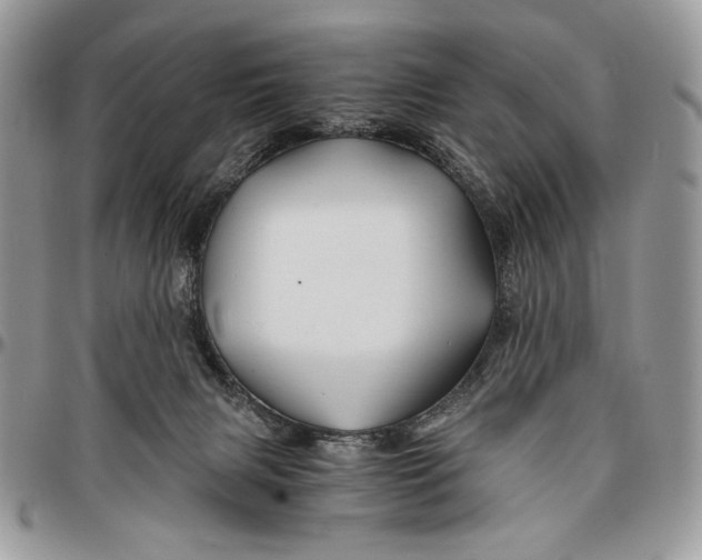 X0000096380079200802141441