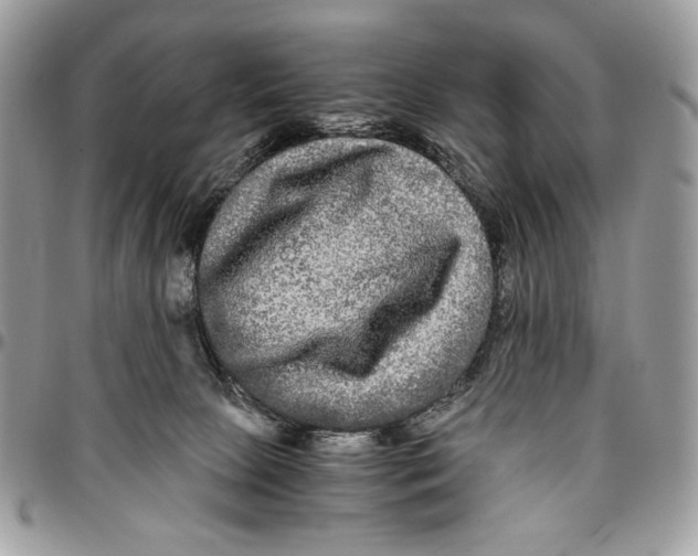 X0000096380081200802141441