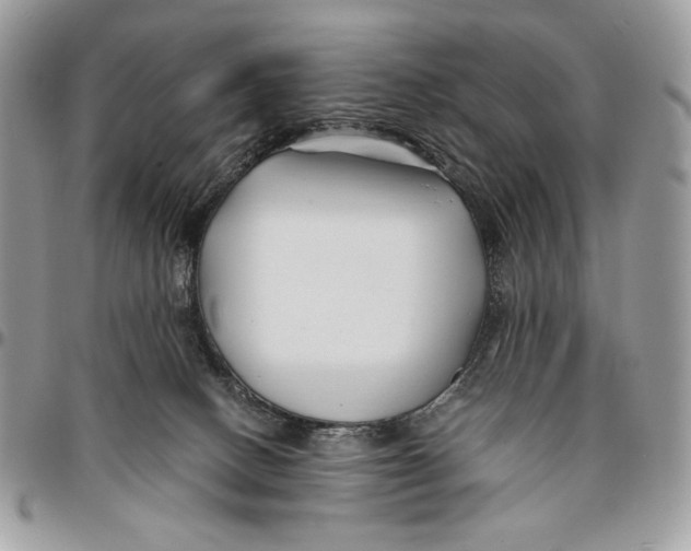 X0000096380082200802141441