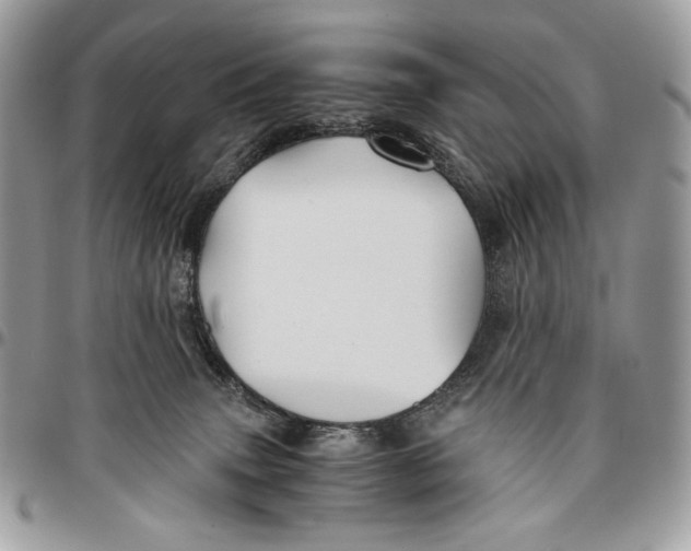 X0000096380083200802141441