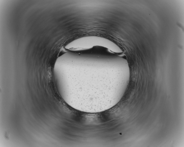 X0000096380085200802141441