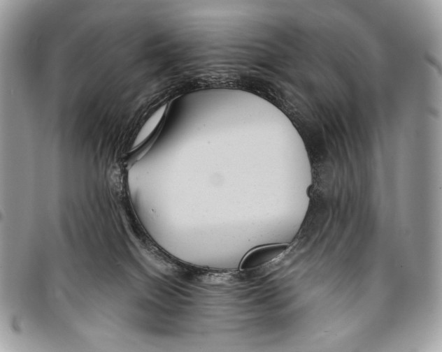 X0000096380086200802141441