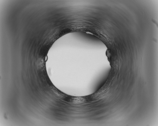 X0000096380087200802141441