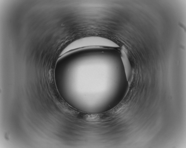 X0000096380088200802141441