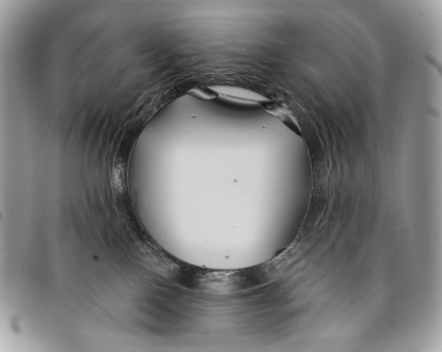 X0000096380090200802141441