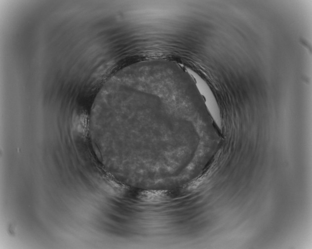 X0000096380093200802141441