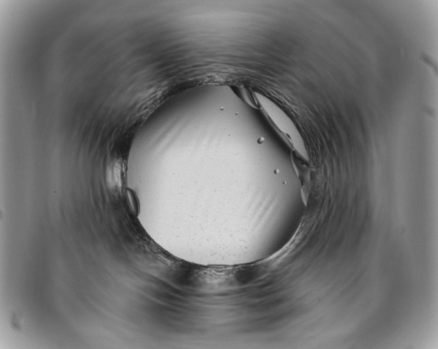 X0000096380094200802141441