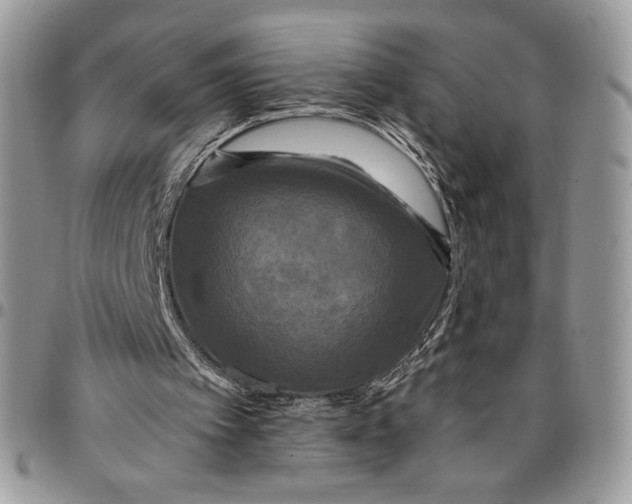 X0000096380097200802141441