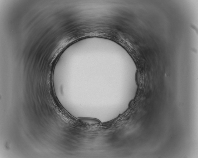 X0000096380098200802141441