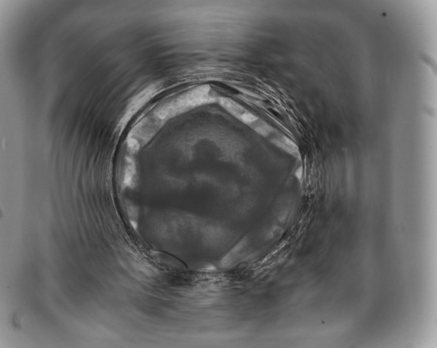 X0000096380099200802141441