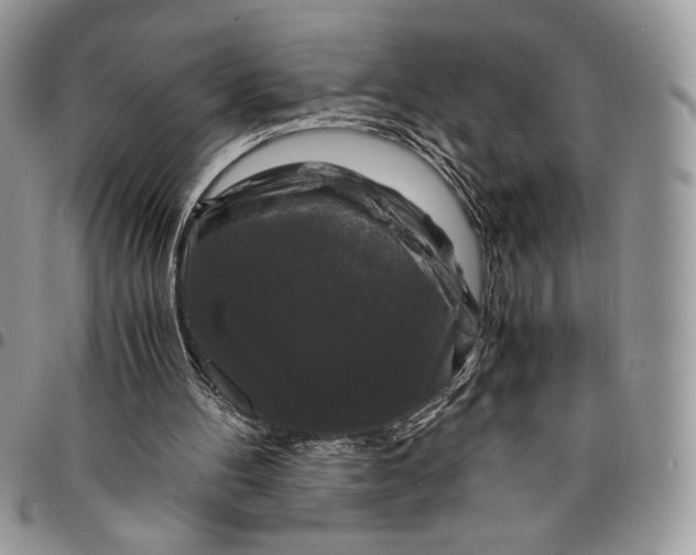 X0000096380100200802141441