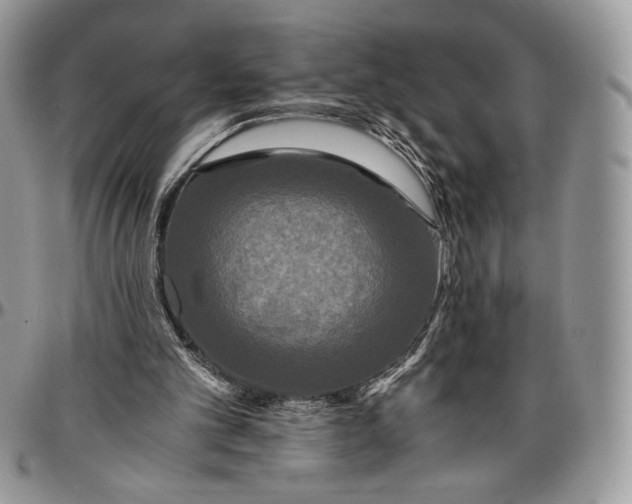 X0000096380101200802141441