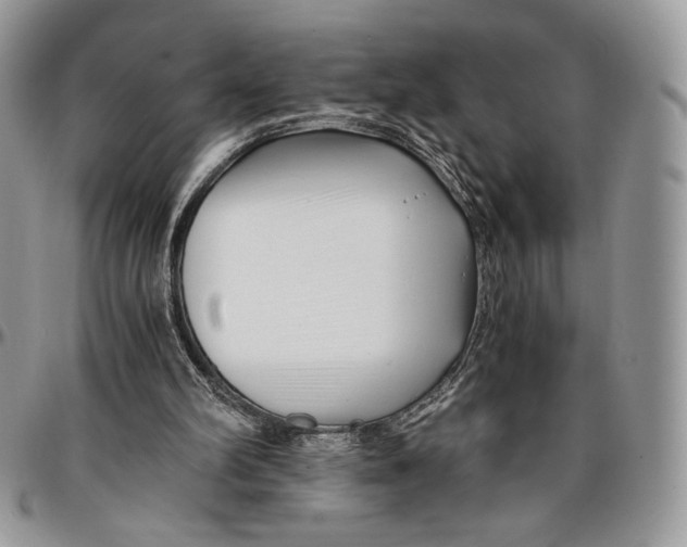 X0000096380102200802141441