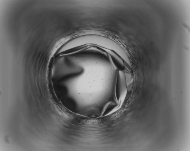 X0000096380104200802141440