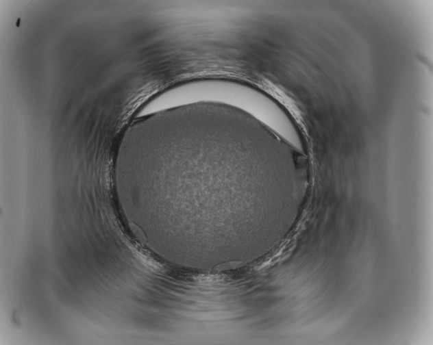 X0000096380105200802141440