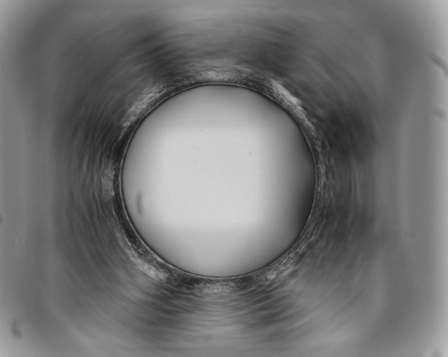 X0000096380106200802141440