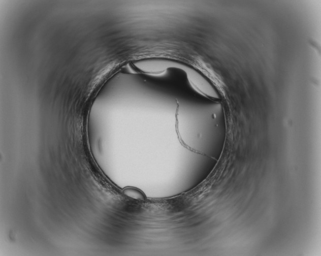 X0000096380107200802141440