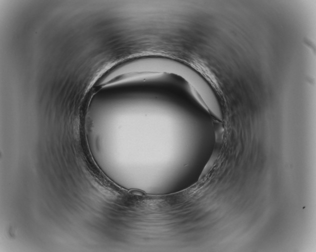 X0000096380108200802141440