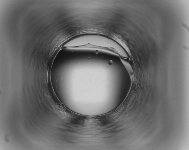 X0000096380109200802141440