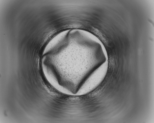 X0000096380110200802141440