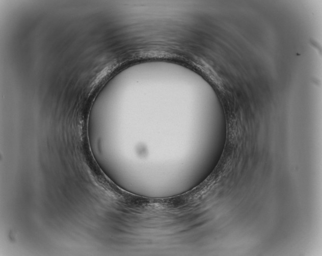 X0000096380111200802141440