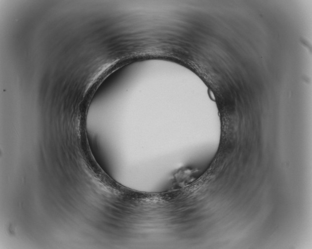 X0000096380112200802141440