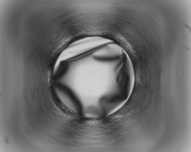 X0000096380115200802141440