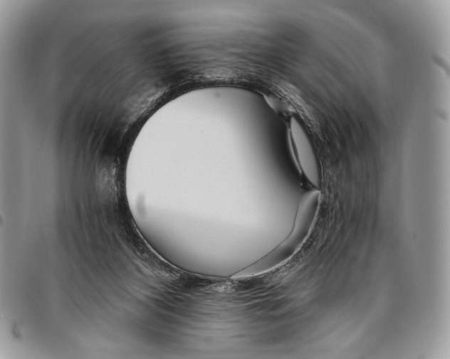 X0000096380116200802141440