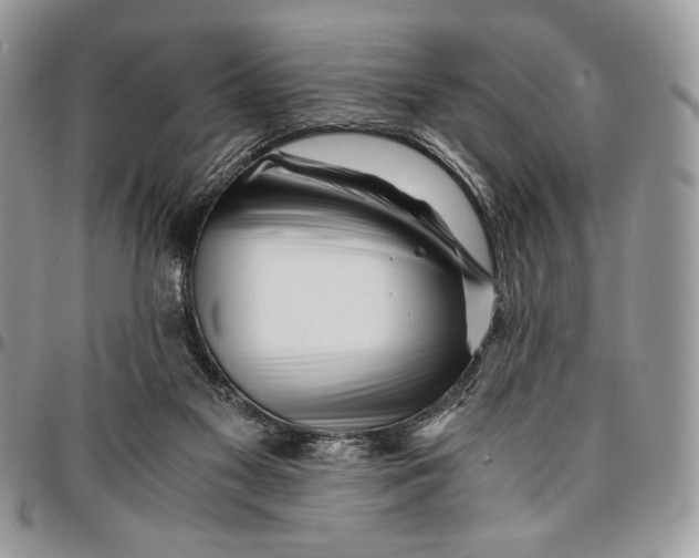 X0000096380117200802141440