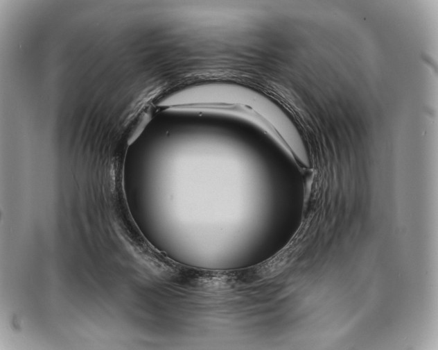 X0000096380120200802141440