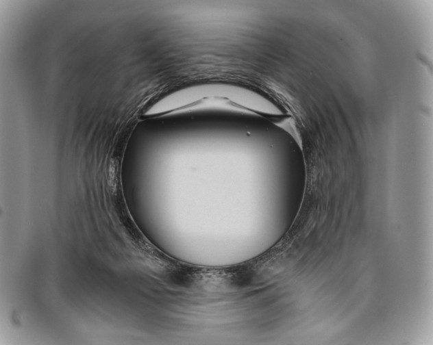 X0000096380121200802141440